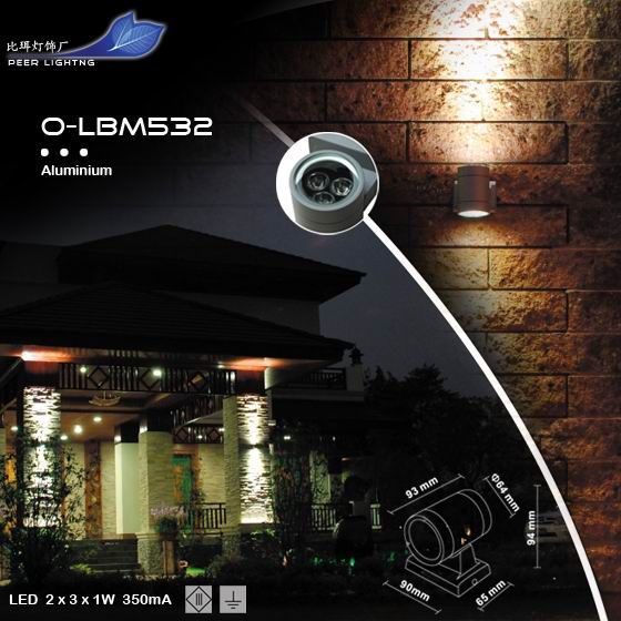 LED 2*3*1W Outdoor Wall Washer