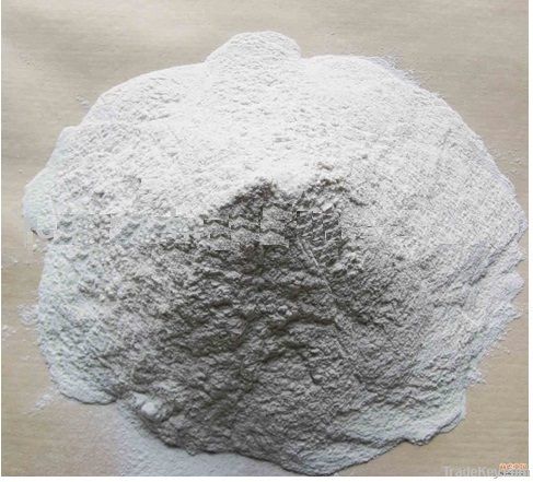 Hydroxypropyl Methylcellulose (HPMC)