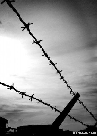 Barbed Wire