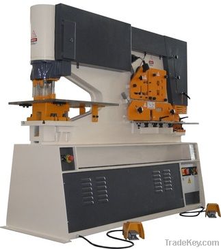 Hydraulic Combined Punching & Shearing Machine (RMI Series)