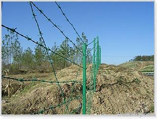 barbed wire