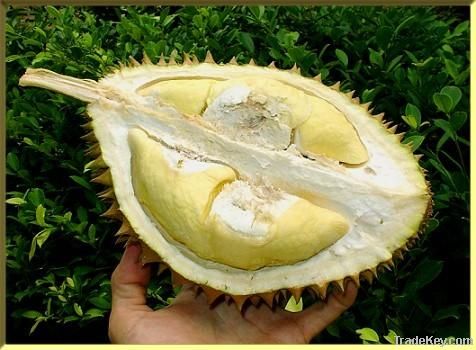 Fresh Durian