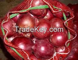 Fresh Red onion