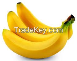 Fresh Cavendish Banana