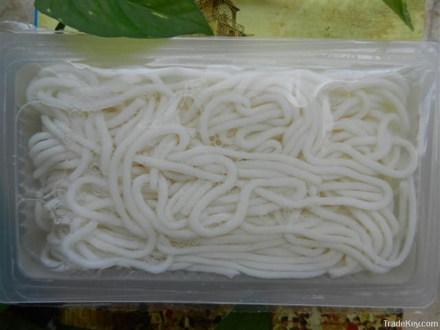 Konjac Noodle