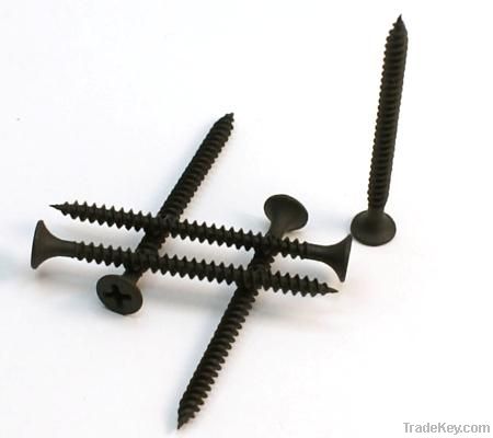 drywall screw