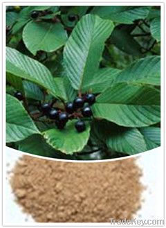 Cascara Sagrada Bark Extract