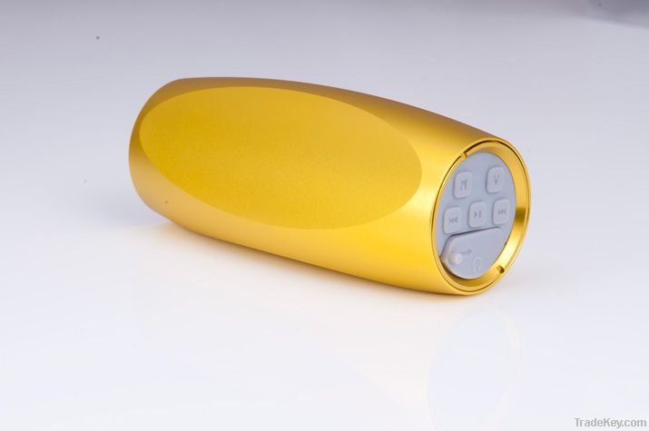 Portable Mini MP3 Speaker (Y168)