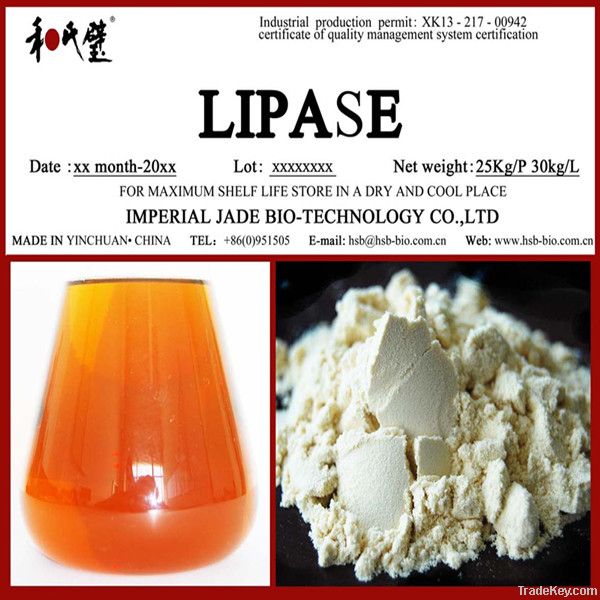 lipase