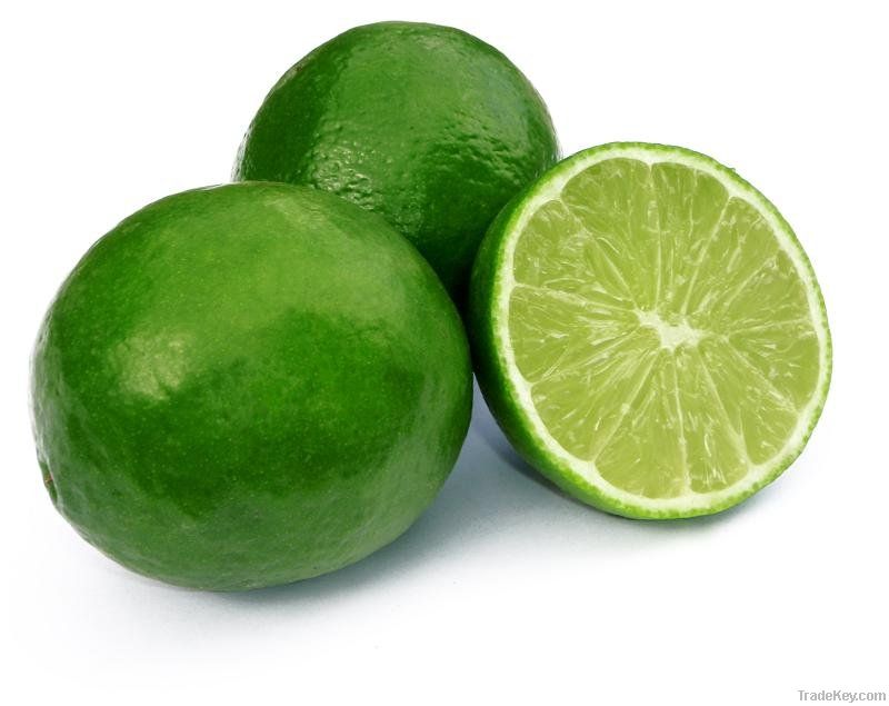 Vietnam Green Fresh Lemon