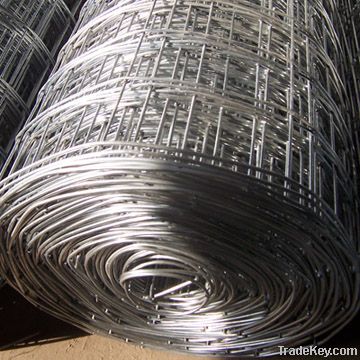 Welded Wire Mesh