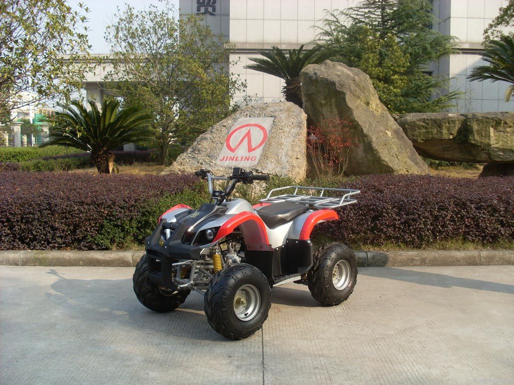 Mini ATV Quad