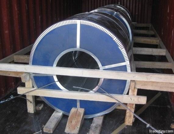 Color coated steel coil/sheet