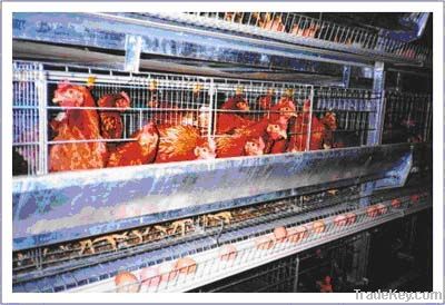 automatic hen breeding machine