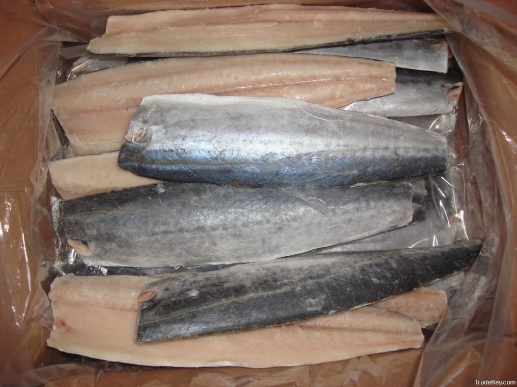 spanish mackerel fillet