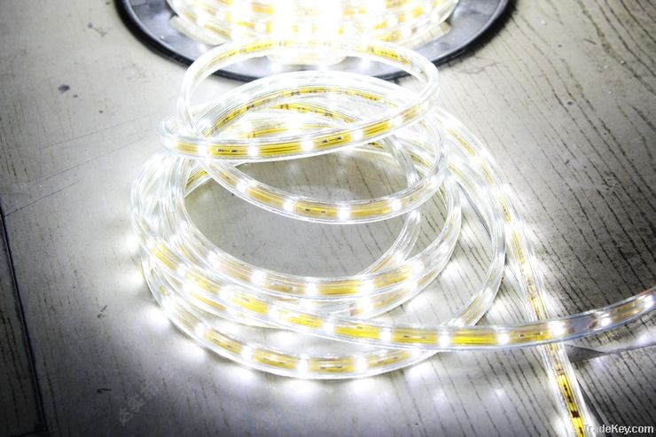 LED Flexible Strip Light 110V/ 220V