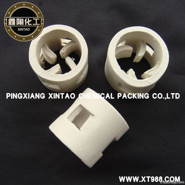 Ceramic Pall Ring 2''(50mm)