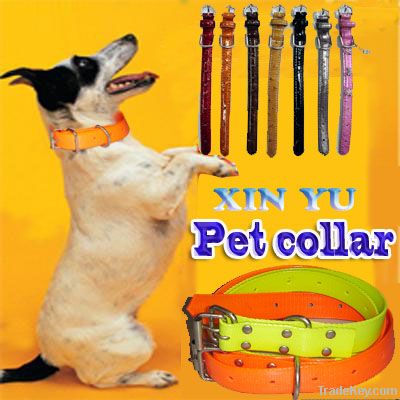 martingale dog collar