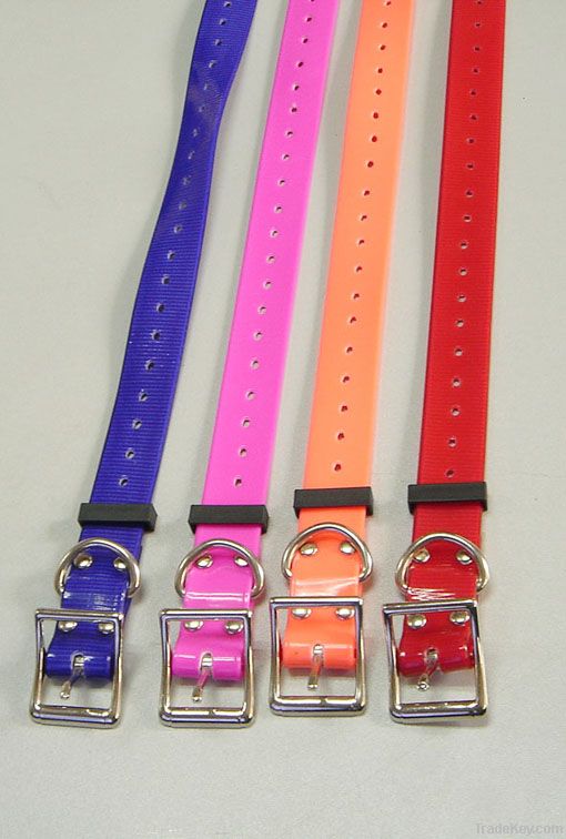 martingale dog collar