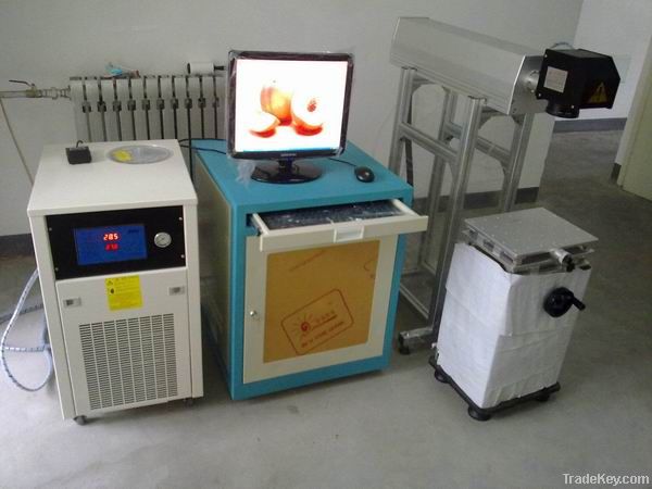 DW50D laser marking machine