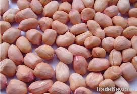 Peanut kernels