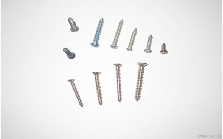 Tapping Screw