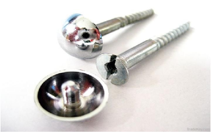 Mirror Screws