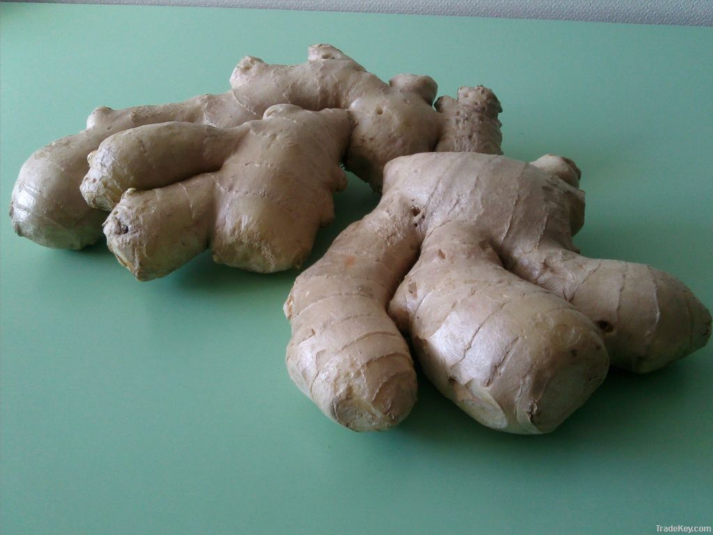 Fresh Ginger