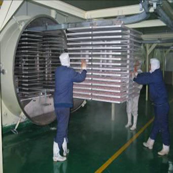 supply FD vacuum freezing dryer