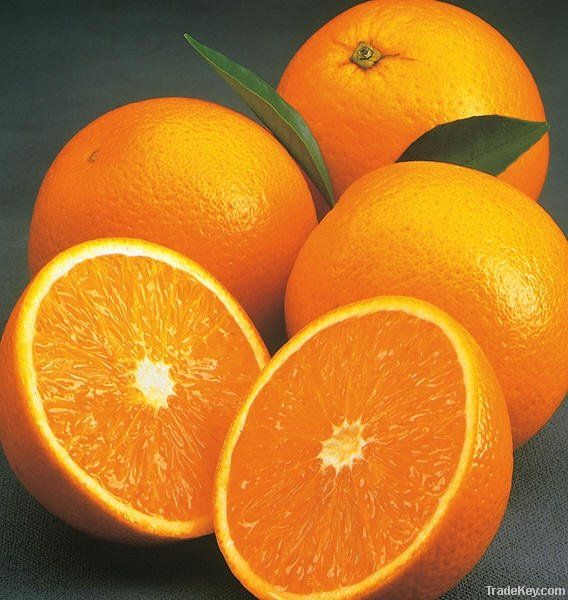 Fresh Oranges