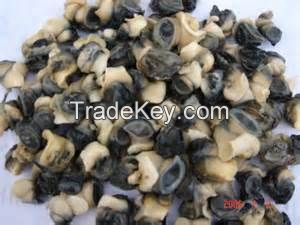 Snail meat, snail shell, snail slime, tilapia, catfish shrimp