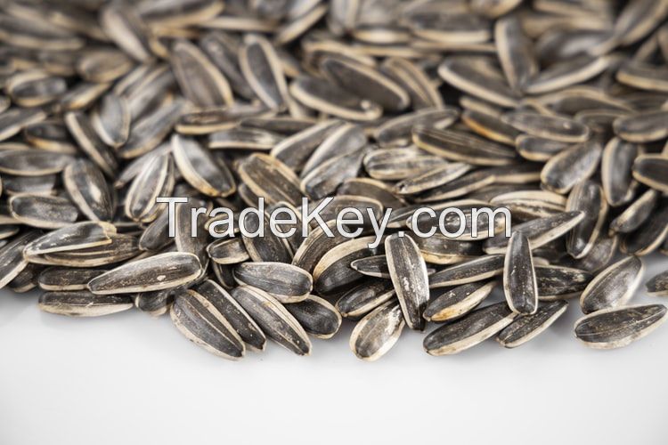 High Quality Sunflower Seeds 