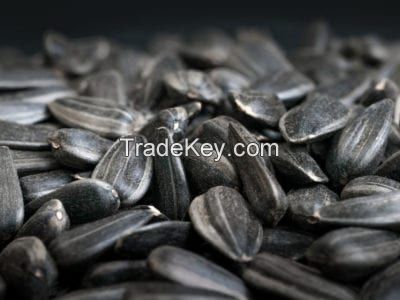 High Quality Sunflower Seeds 