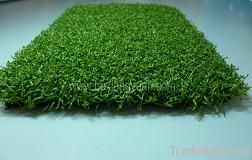 Golf putting grass/turf/lawn