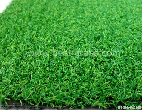 Golf putting grass/turf/lawn