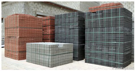 Interlock Paving Bricks