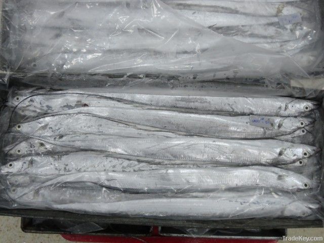 WHOLE ROUND RIBBON FISH