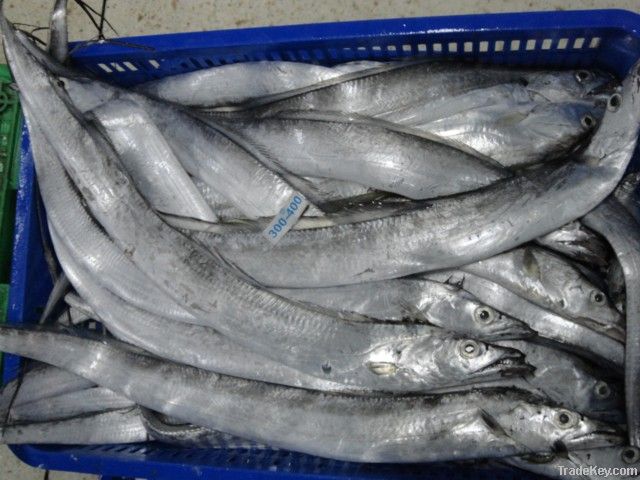 WHOLE ROUND RIBBON FISH