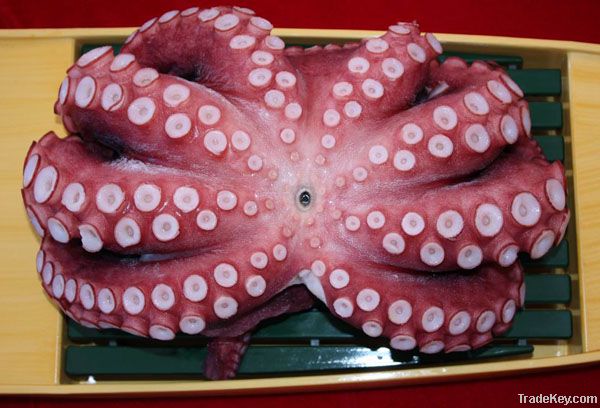 Forzen Boiled Octopus (Flower style)