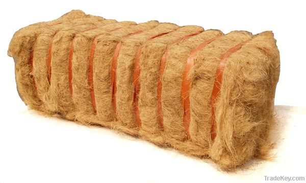 Coir Fibre