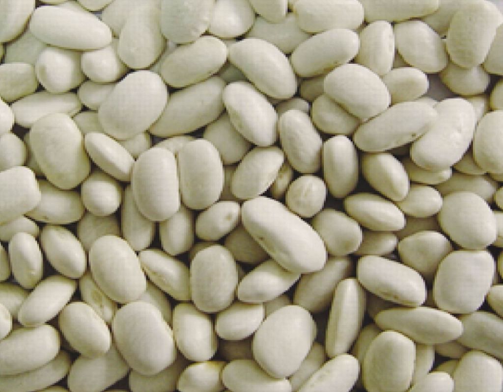 White Beans