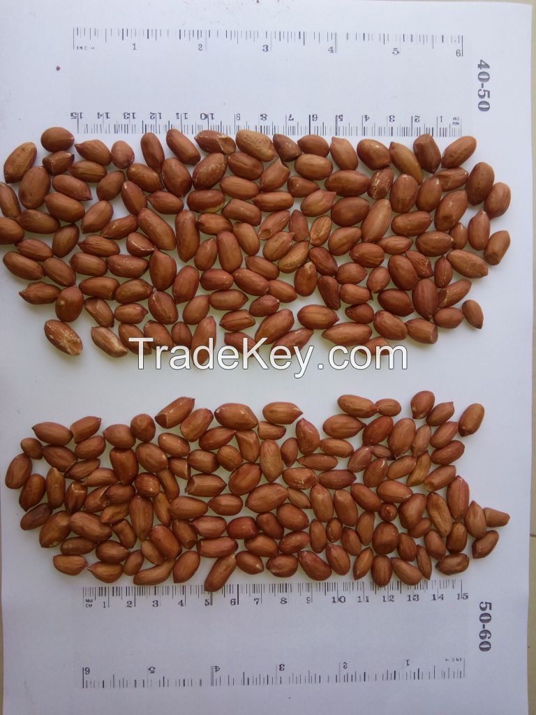 peanuts, ground nut, Indian peanuts supplier