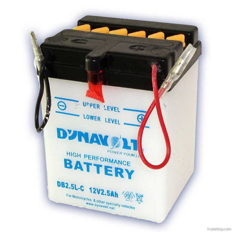 lead acid battery