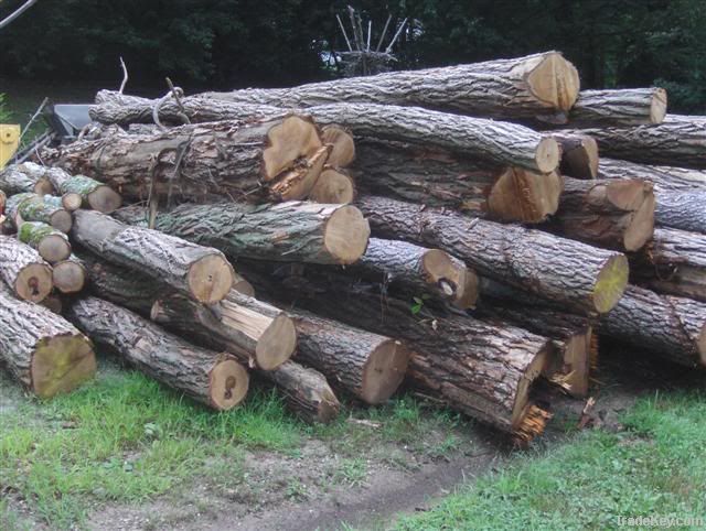 Locust Logs