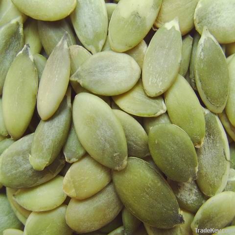 Shine Skin Pumpkin Seeds A/AA Grade New Crop