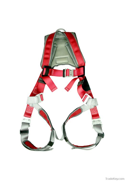 Full Body Harness with shock Absorbing Lanyards