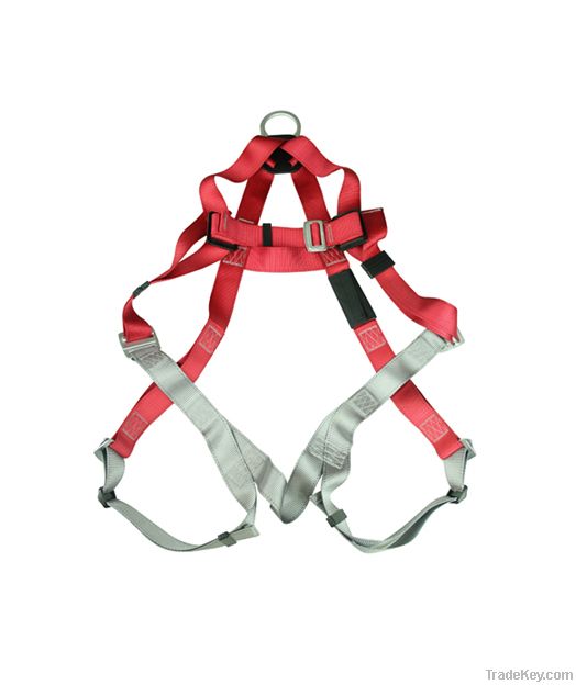 Full Body Relaxing Harness with Shock Absorbing Lanyards