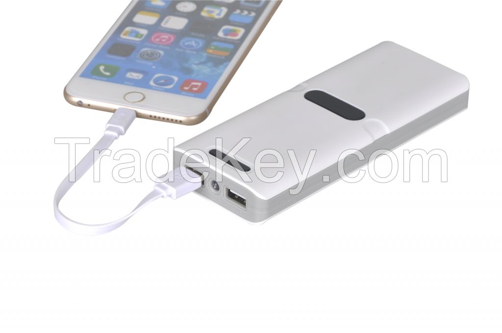 Power Bank 15600mAh 