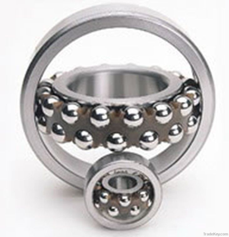 Self aligning Ball Bearing