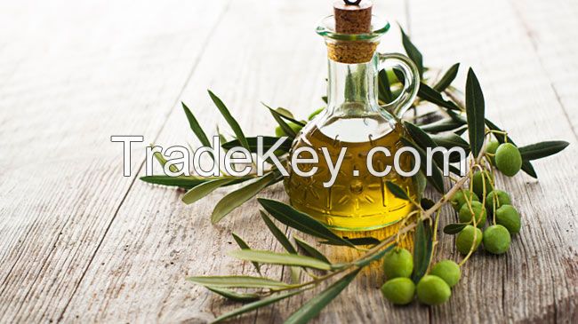 Olive Oil